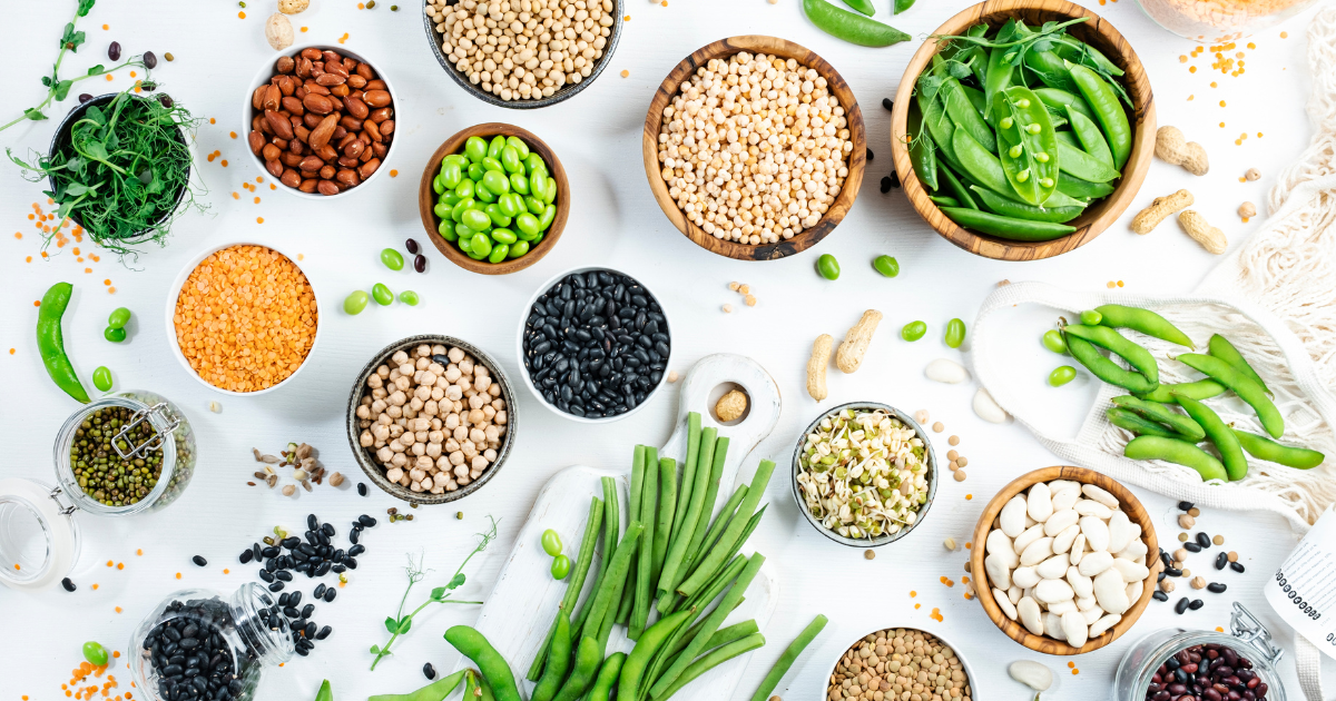 Understanding Macros: A Guide to Balanced Diet Planning